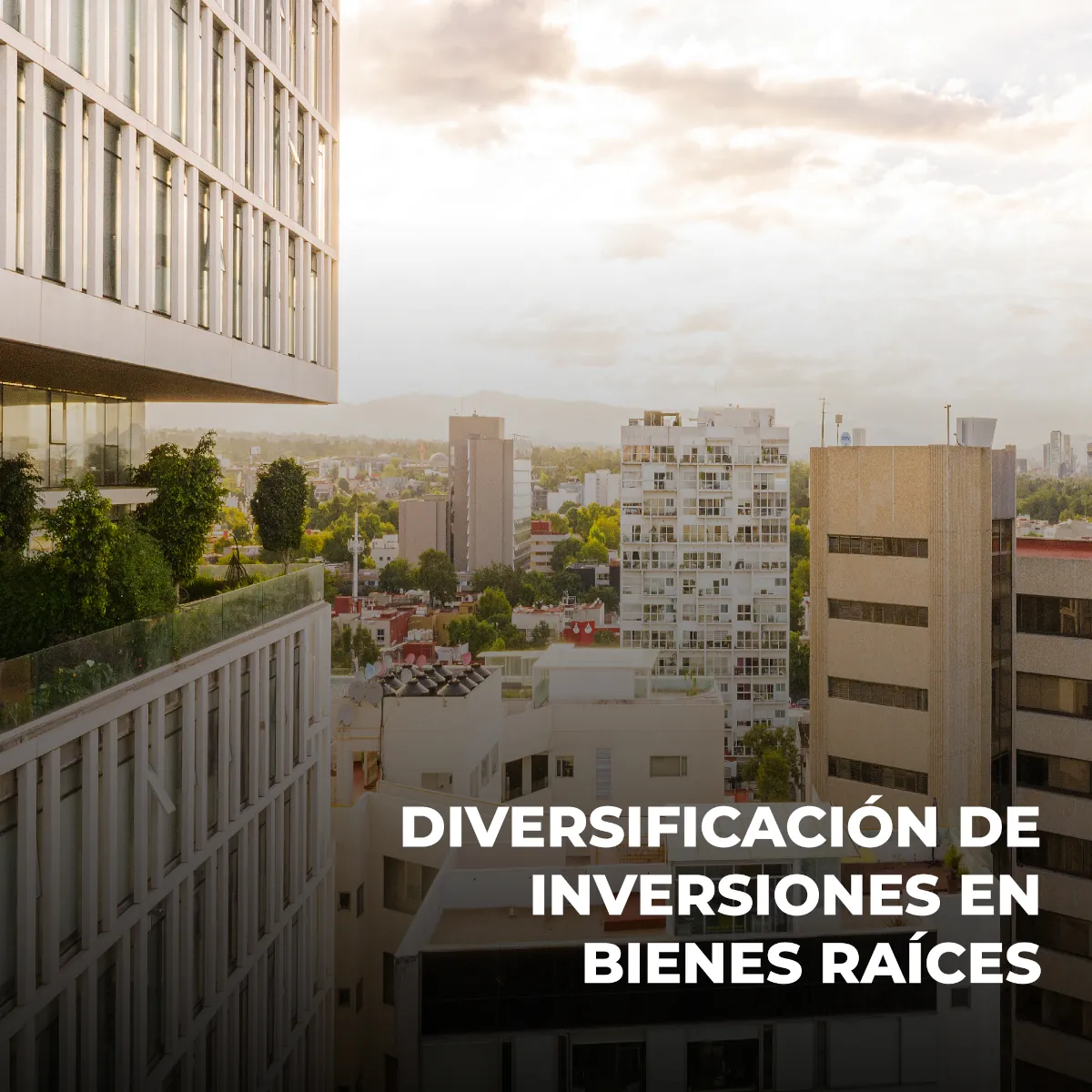 Diversificación de Inversiones en Bienes Raíces