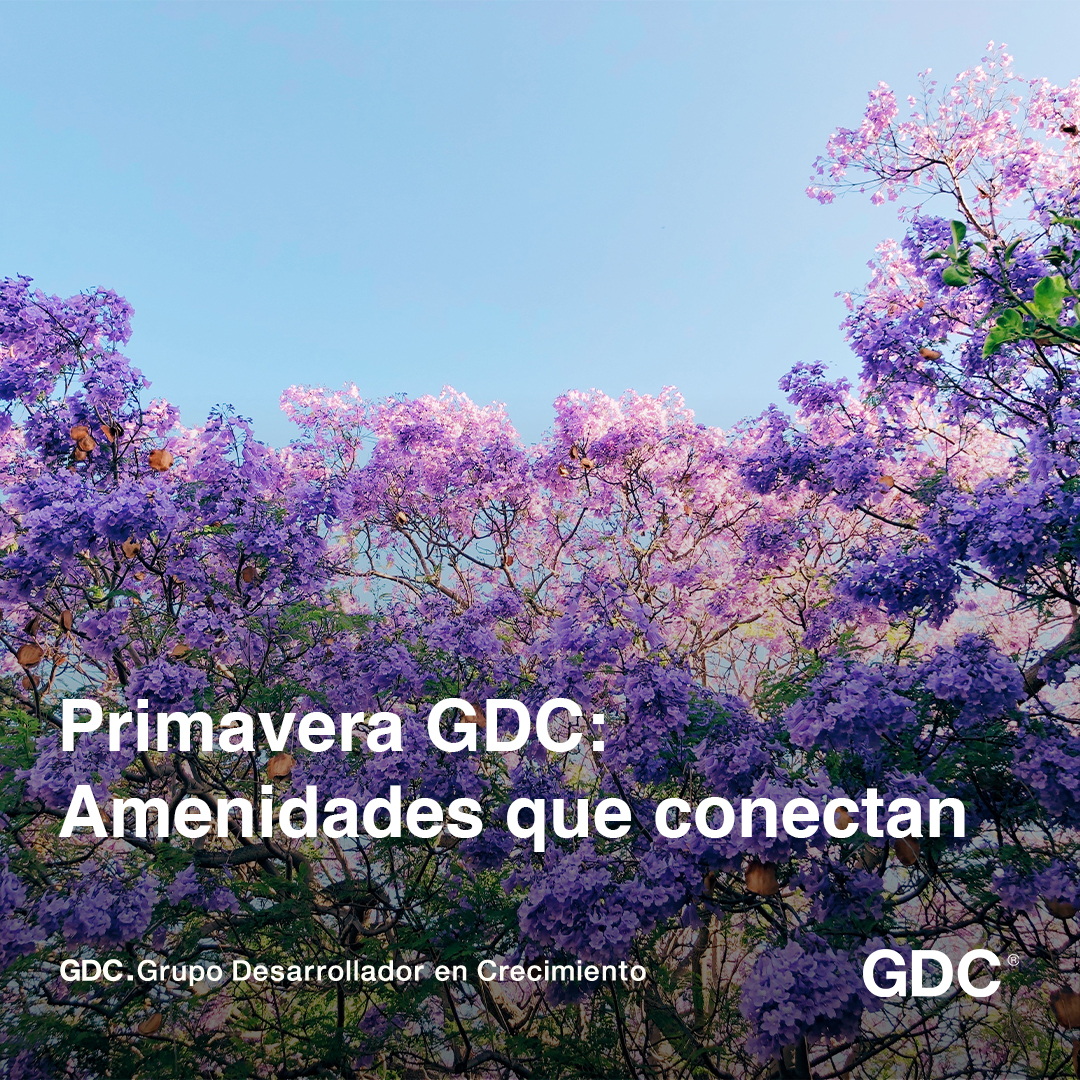 La primavera en GDC Desarrollos: Espacios que Florecen y Amenidades que Conectan